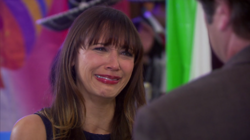 ann perkins