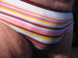 stinson1:  a cute lil stripe and lace panty