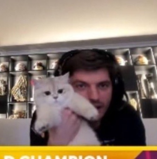 Someone Needs To Out That Picture Next To The One Of Baby Max With That Little White Kitten 🥹