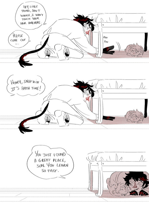 avril-circus:cat life with cat dad (and cat son)