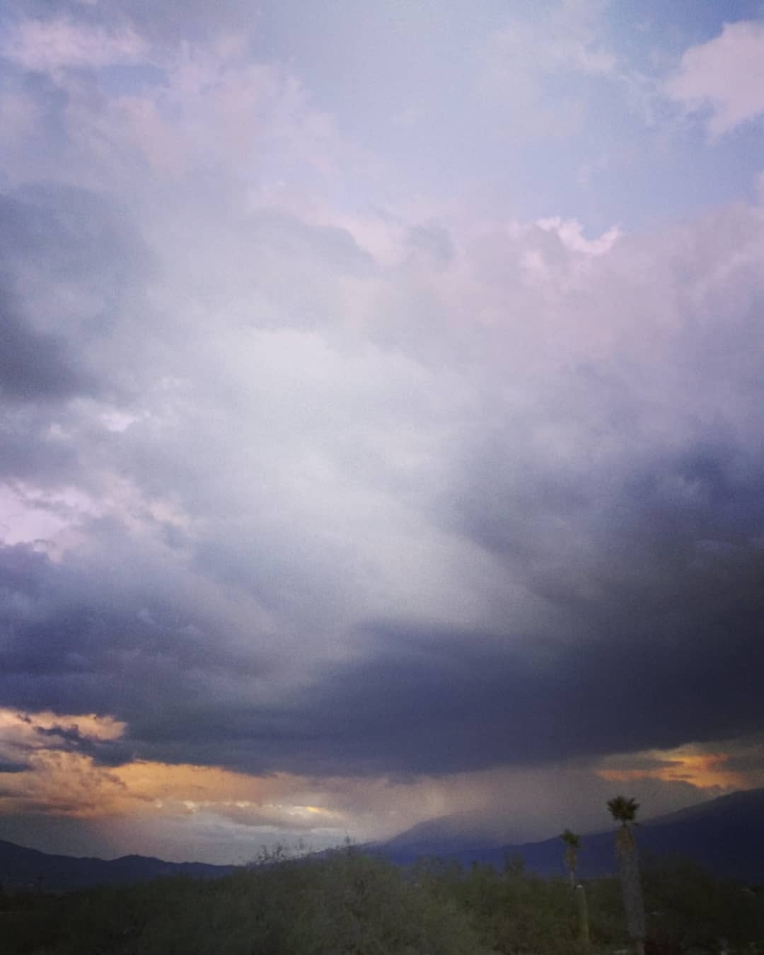 #rain from the other night…from our front porch #tucson #instagramaz
https://www.instagram.com/alannarmejia/p/BpIK3hGjcTN/?utm_source=ig_tumblr_share&igshid=uzzb1nhgun1f