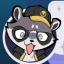 raccoonnonsense