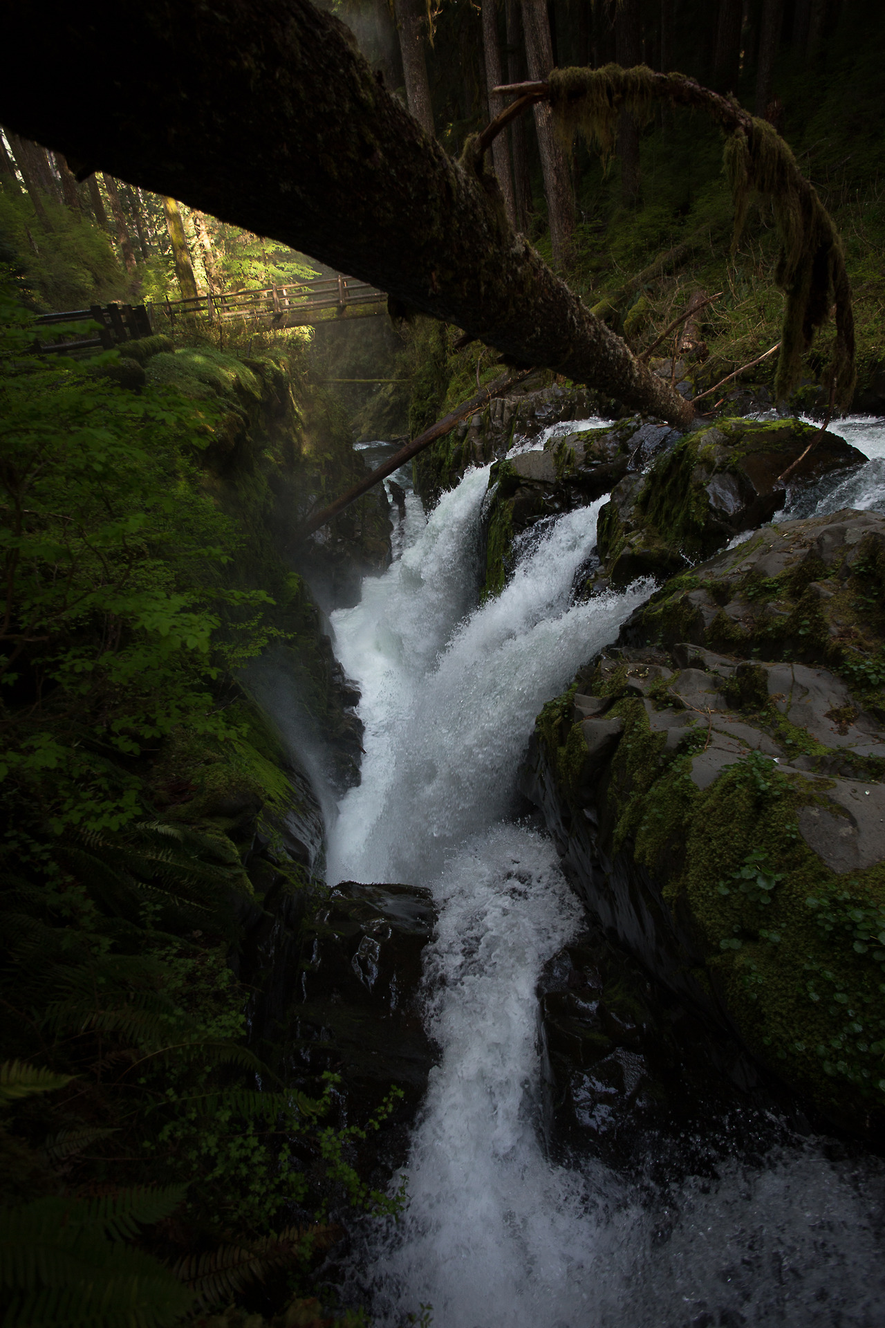 lobo-de-luna:  Since I can’t sleep, here’s a photo of Sol Duc Falls that I didn’t