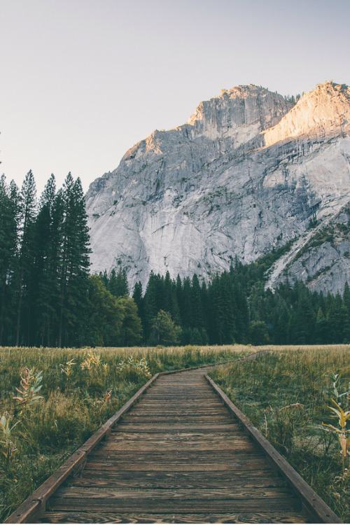 calms:  ● vintage &amp; indie blog ●