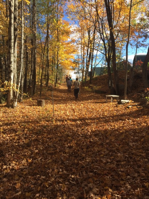 kaleran: It was beautiful today??? What a good day for fieldwork. Have some geomorph students measur