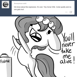 thehorsewife:  She’s Alright Folks! Physically,