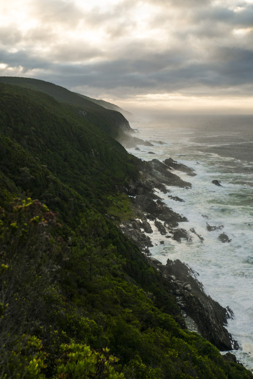 ProgressThe Otter Trail, Garden Route, South Africa