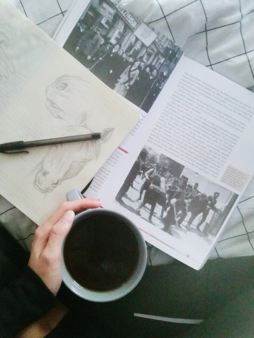 einstetic: *sigh* tumblr why do you always have to make my photos so blurry? tb to some study sessio