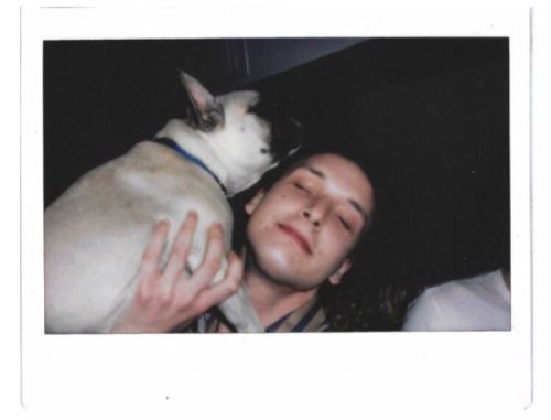 georgedanielfromthe1975