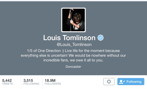 only-fuck-band-members:  Louis still has this as his bio. Reblog while you can…….