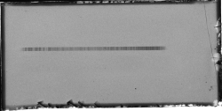 sci-universe:  The line above is the spectrum