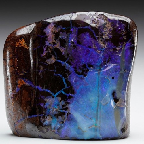 geologypage:Opal Var. “BOULDER OPAL” in Ironstone #Geology #GeologyPage #Opal #Minerals #Australia 