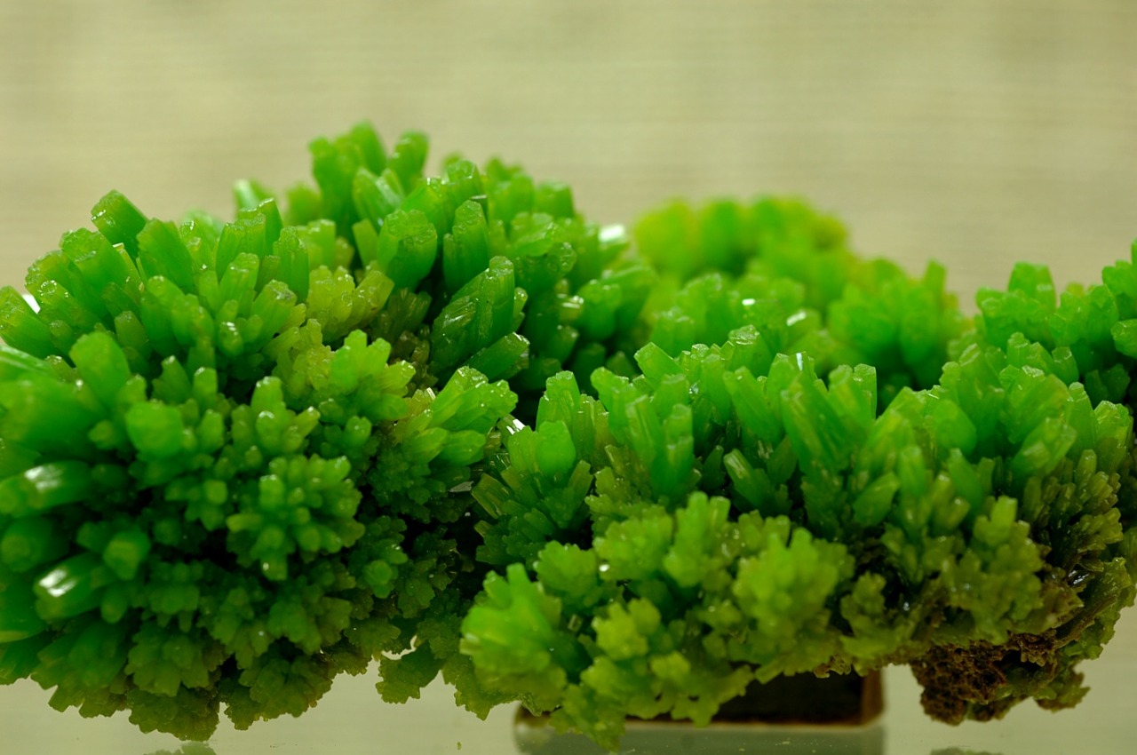 ifuckingloveminerals:
“Pyromorphite
”