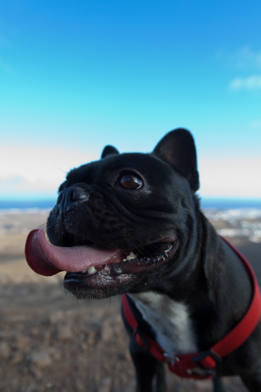 bimbitaminina:  Bimba