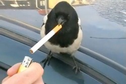 Kissmeteasemelickmefuckme
