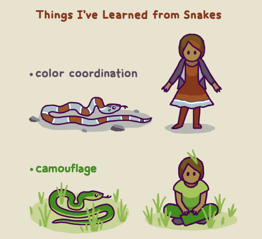 birdandmoon:Snakes are amazing! High five (/tail?) to all the snake fans. The species