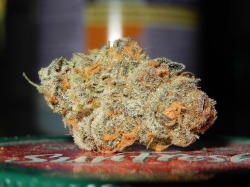 smokened:  BayBhuey - Girl Scout Cookies