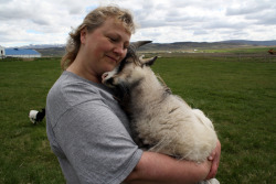 tatterhood:  Save the viking goats!!! Johanna