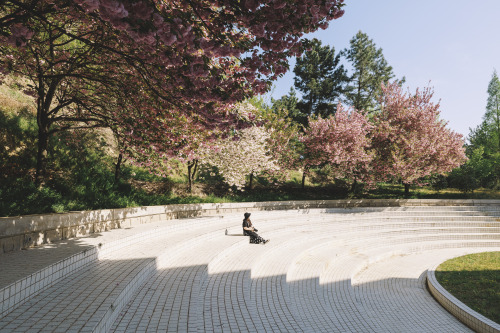 2022-04-16Spring, Double flowering cherry blossomsCanon EOS R3 + RF15-35mm f2.8L ISInstagram  |  hwa