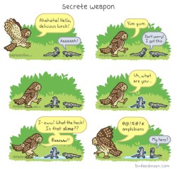 daily-owls:  from birdandmoon.com