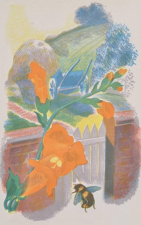 poboh:Garden, John Nash. (1896 - 1977) - Colour lithograph -