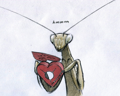doodleofboredom:  Oh, Valentine.  