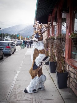 fursuitpursuits:  RT @WoleverWuff: Town or wilderness, you might find Jingle out and enjoying both on #FursuitFriday. :) https://t.co/yVC2pzjhaD (Source) 