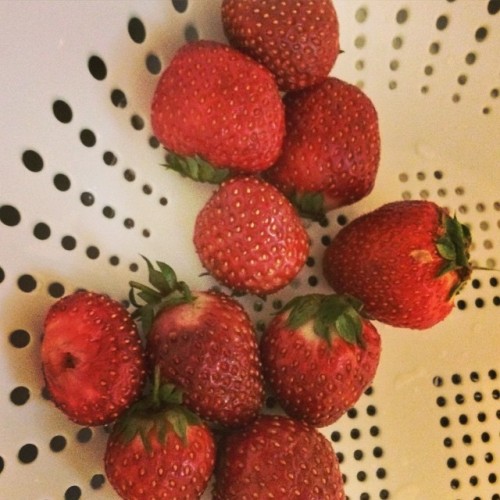 Hood River strawberries.  #Portland #PDX (at The Blue Tile Lounge)