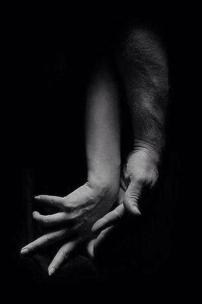 domsirdaddy:  If only to touch each other’s flesh, as we’ve touched each other’s