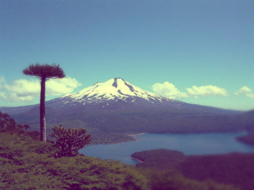 puedes-ver-las-estrellas:  lagenteignoraelpoderquetiene:  detrasdelacortina:  holasoysuperweona:  la-luz-de-tu-mirada:  Chile es HERMOSO. CHILE TE AMO<3  Si no reblogueai esta weá no erí chileno, así que rebloguea. Esta weá tiene que tener más