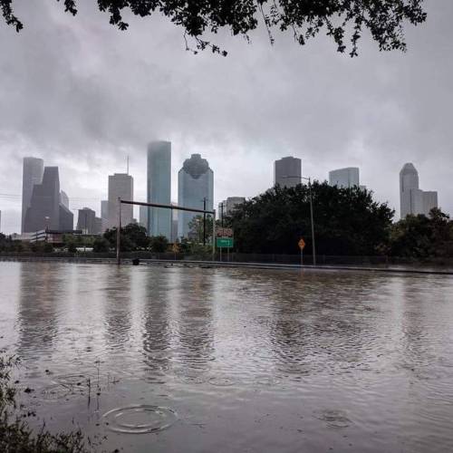 Porn isaia:  itsdorkgirl:  Hurricane Harvey Houston, photos