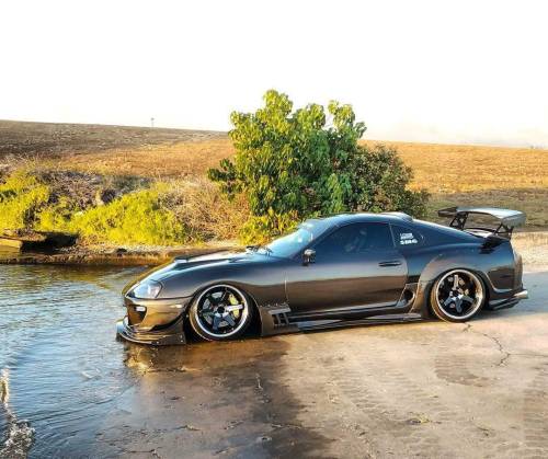 A Supra in the wild.