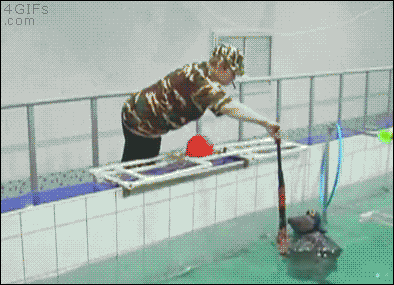 ragecomics4you:  Meanwhile in Russia…http://ragecomics4you.tumblr.com