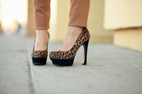 Glaze :: Coated Denim & Lush Leopard spool heel, platforms, round toe from HeelsFetishism