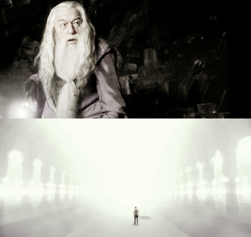 cauldronbottoms:  Harry turned the card over and saw, to his astonishment, that Dumbledore’s