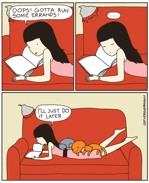 actyourshoesizegirl: the-awesome-quotes: Funny Comics Reveal The Reality Of Owning A Cat Cat lady 10