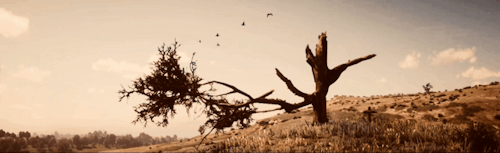 RED DEAD REDEMPTION II ⋆ Scenery (12/?) → Gif Set Inspired By The Album Preacher's Daughter By Ethel