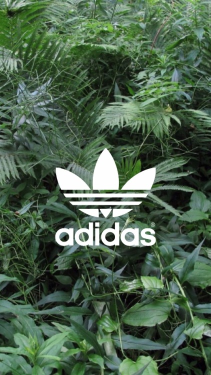 rxlockscreens - Random adidas lockscreens