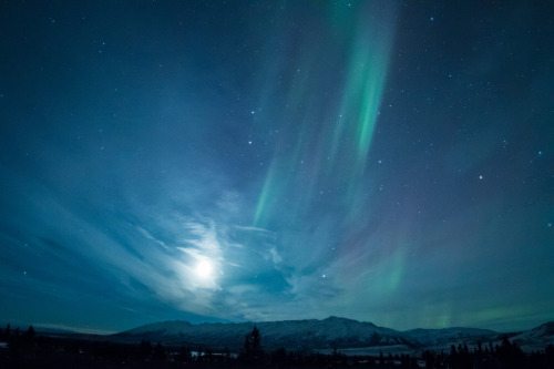 90377:Aurora Borealis by Frostnip