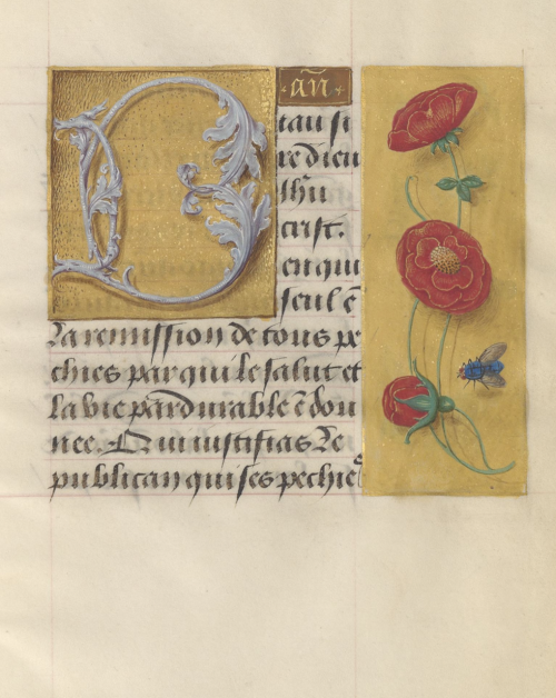 Livre d’heure, en latin et en français, à l’usage de Cambray.(1401-1500). ” Ce Livre ne marque null