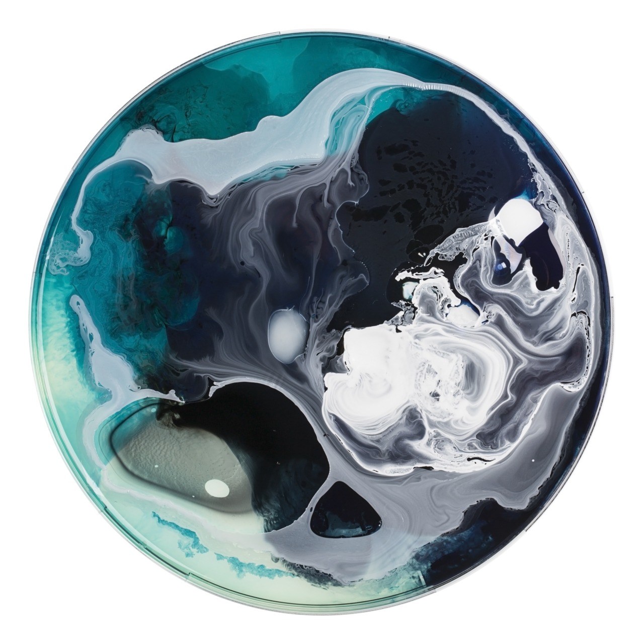 xaoss:  The Petri Dish Project 2014, the Sci-Fi Series, by J.D Doria