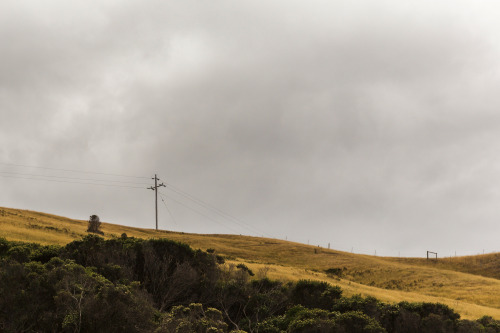 Dry Country 1/3 by Tim Allen Website | Store Instagram | Twitter | Facebook