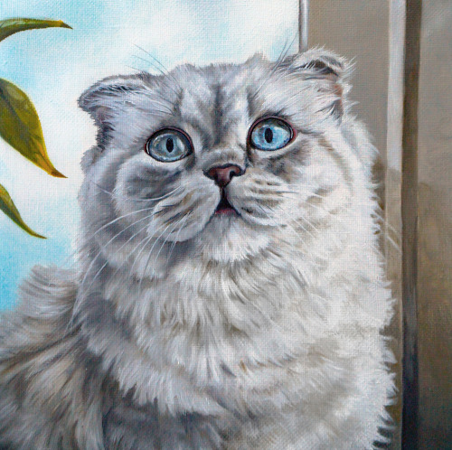 Portrait of my cat Lucy. Oil on Canvas, 30x30.