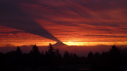 sixpenceee:  Mount Rainier shadow casts on the sky at sunrise. It only happens when the sun rises farther to the south and has to be in the exact position to where Rainier blocks the first rays of morning light. (Source) 