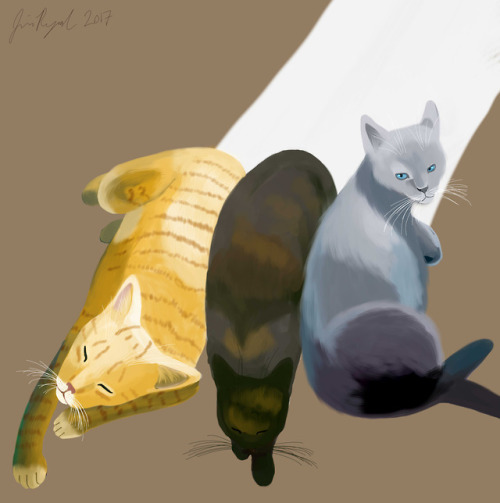 A painting I did of @jrglittletreasures‘s kitties! Also the first painting that I’ve done a process 