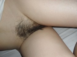 Hairy Pussy Land