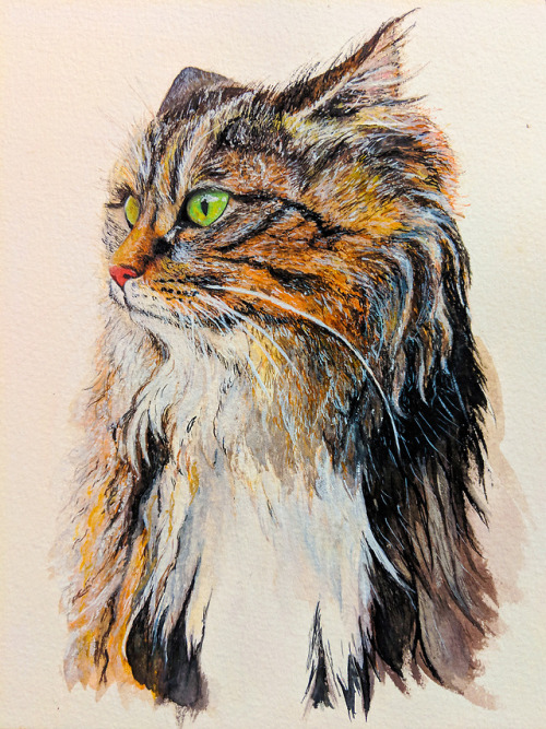 Almost finished Watercolor Cat by awesome me :D 