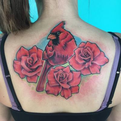 Cardinal and white roses on the  Tattoos by Matt Brumelow  Facebook