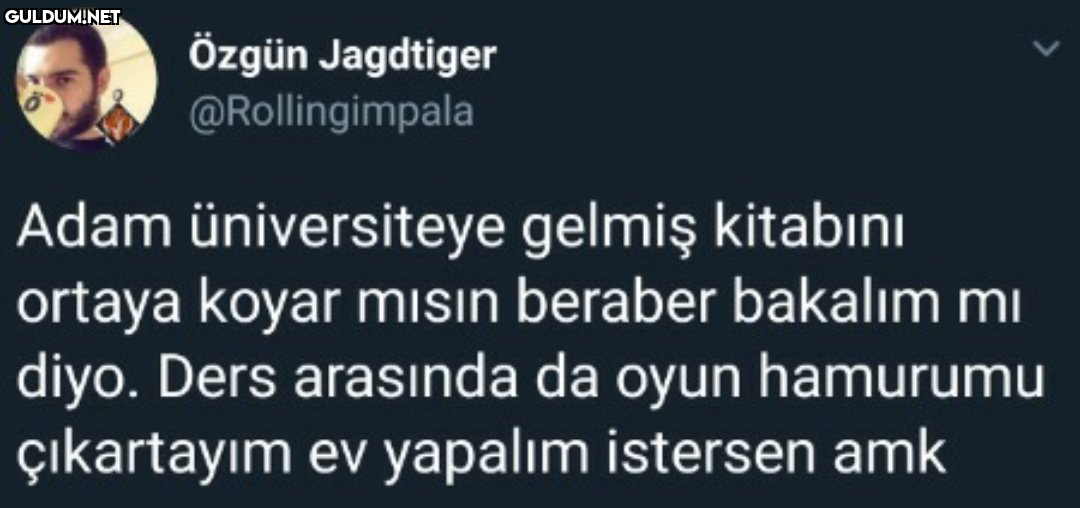 özgün Jagdtiger...