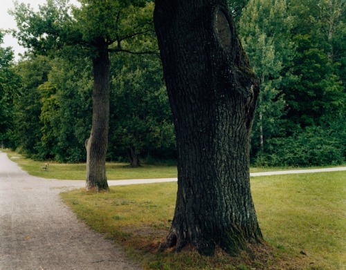 aliov:Anders KrisárHiding the Hidden, 2003
